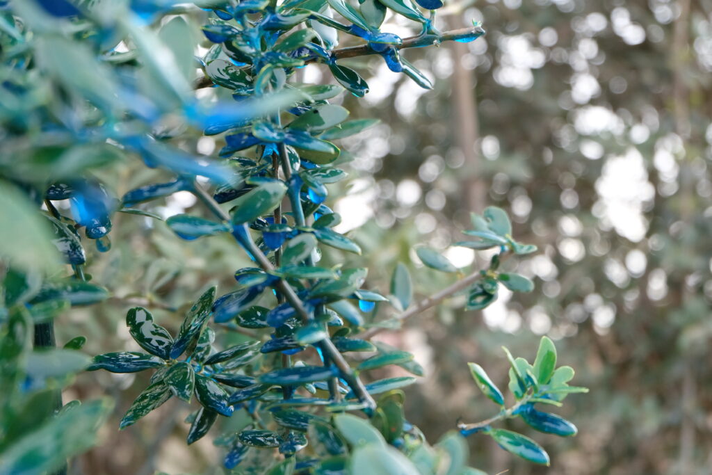 Retardante de corto plazo